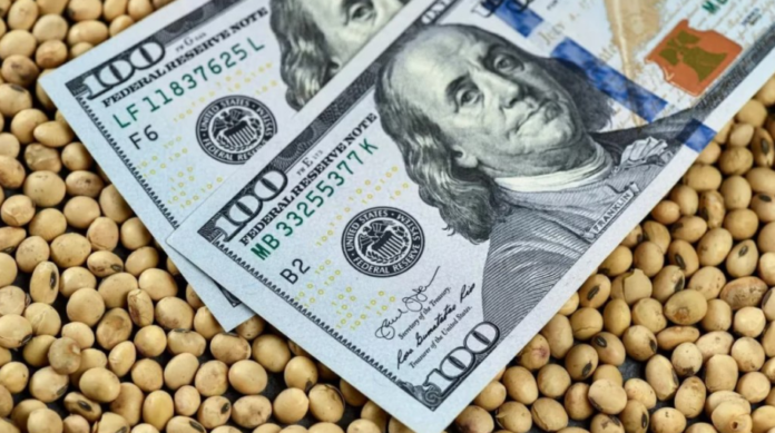 AGRO DINERO