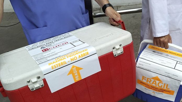 DONACION DE ORGANOS
