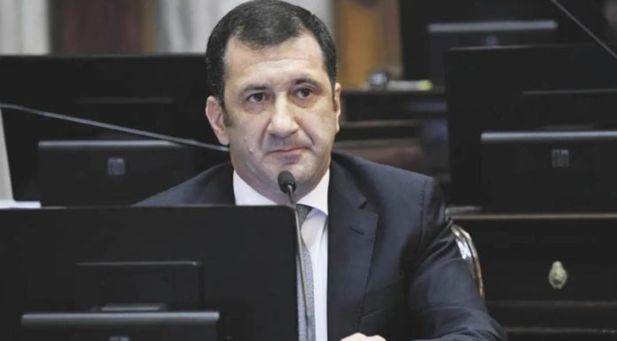 edgardo-kueider-senador