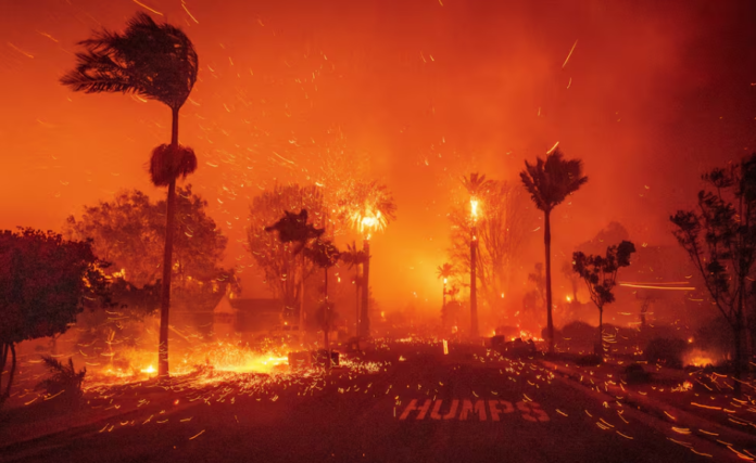 INCENDIO CALIFORNIA