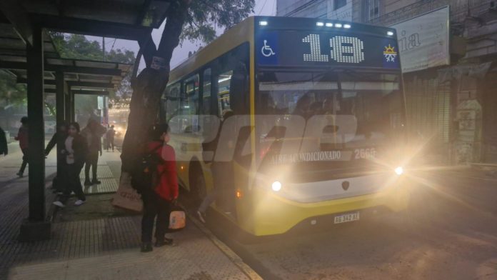 COLECTIVO