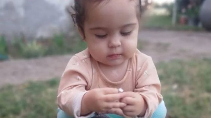 delfina-hecker