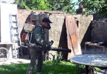 Dengue: se confirmó la presencia del vector en 30 barrios de la ciudad de Santa Fe