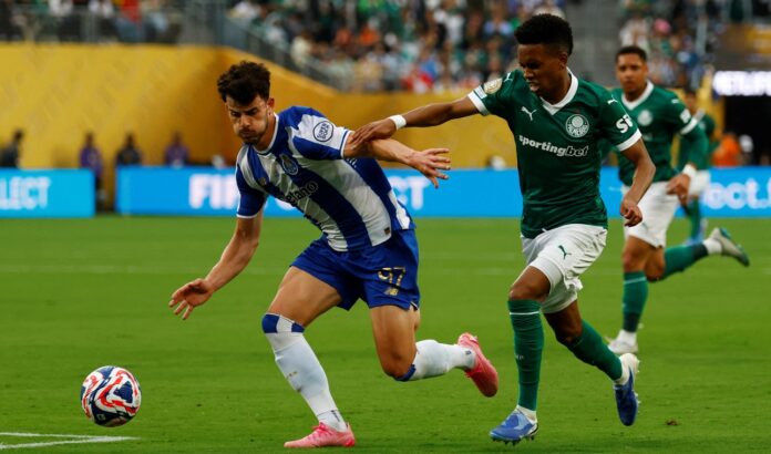 PALMEIRAS PORTO
