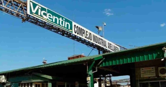 VICENTIN 222