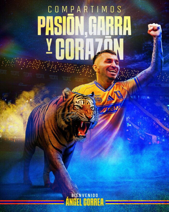 tigres