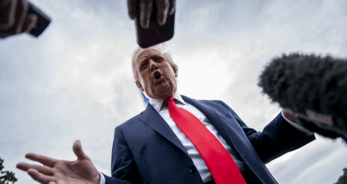 TRUMP NEW YORK TIMES