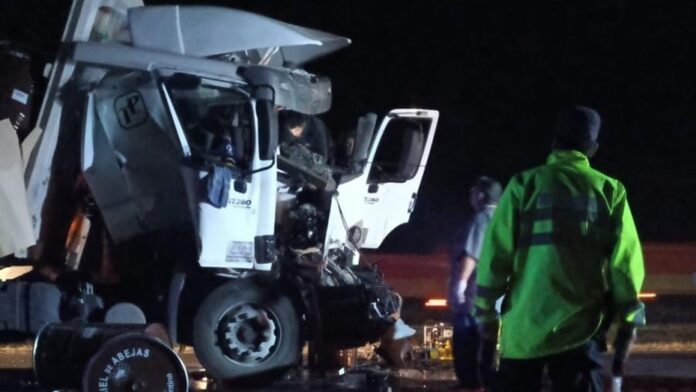 CAMION 1