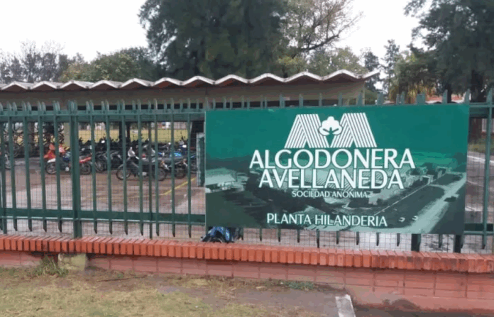 ALGODONERA AVELLANEDA