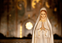 La reflexión dominical del Padre Tadeo: “Si hoy estamos en este bello mundo, se debe al amor incondicional de nuestras madres”