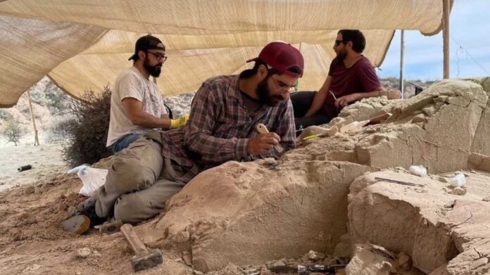 conicet-realiza-una-expedicion-paleontologica-en-la-provincia-de-rio-negro-20251006-2113557