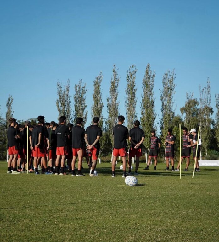 plantel colon2