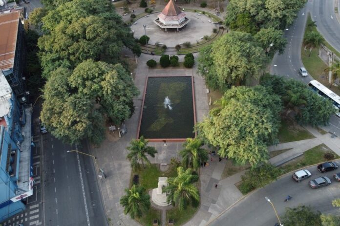Colón