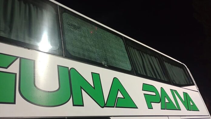 COLECTIVO 1