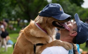 Una marea dorada en Palermo: 2.500 golden retrievers se reunieron para batir un récord mundial y sumar solidaridad