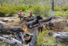 El incendio en El Turbio sigue activo, pero lograron avances clave en la contención del fuego