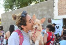 En noviembre, el Imusa realizó 8.870 atenciones veterinarias