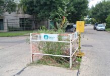 Barrio Guadalupe: vecinos reclaman por la reparación de un bache en Padre Genesio y Tacuarí