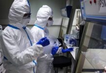 Europa y Estados Unidos enfrentan un fuerte brote de gripe por la variante H3N2