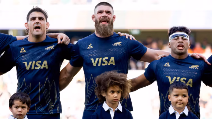 pumas
