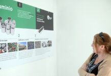 Ciudad sustentable: más de 20.000 capacitaciones en Educación Ambiental durante el 2025