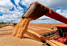 Las exportaciones agroindustriales crecieron en el inicio de 2026