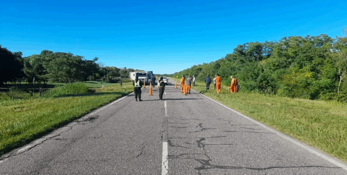 RUTA 1