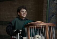 “Harry Potter” anunció su nueva serie que saldrá en Navidad de este año