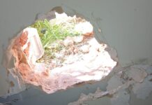 Robo millonario en un estudio del centro de Santa Fe: entraron por un boquete y se llevaron más de 45 mil dólares