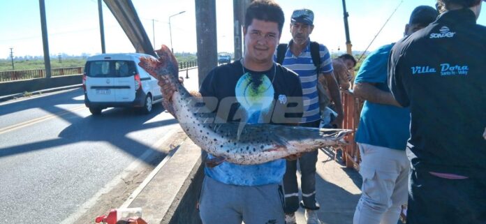 PESCA SURUBÍ