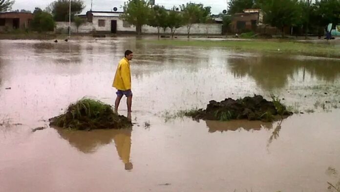 WhatsApp Image 2026-04-05 at 11.33.12 AM