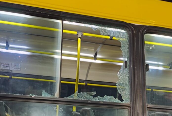 COLECTIVO