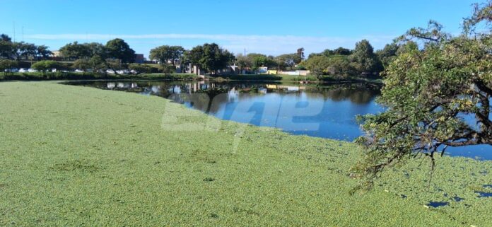 PARQUE DEL SUR