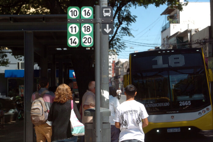 COLECTIVOS 12
