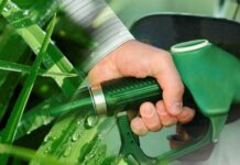 Cuáles son los cambios que exige Santa Fe para la nueva Ley de Biocombustibles