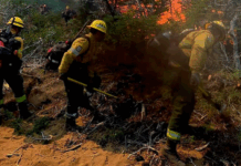 Salta: incendio forestal en Cafayate ya consumió cerca de 200 hectáreas