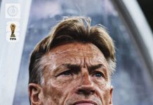 Mundial 2026: Túnez cambia de técnico y anuncia a Renard