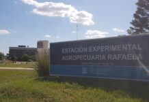 INTA Rafaela perdió casi una cuarta parte de su personal tras una nueva etapa de retiros voluntarios