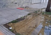 Olores nauseabundos y veredas anegadas: vecinos reclaman por un derrame cloacal en calle Francia