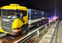 Ruta 168: un camionero perdió el control y chocó contra el guardarraíl al esquivar un perro