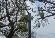 Vandalizaron las nuevas luminarias de Aristóbulo del Valle a solo dos semanas de inaugurar la obra