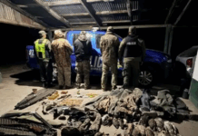 Desbarataron una excursión de caza ilegal en el norte santafesino: secuestran armas y 24 patos silvestres