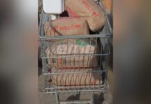 Con cemento, baldes y una puerta: los atraparon con elementos robados de una escuela santafesina