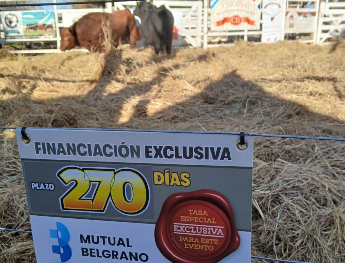 REMATE MUTUAL BELGRANO
