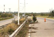 Avanzan los trabajos de poda y desmalezado en la Circunvalación Oeste