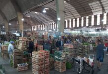 Preocupa la fuerte caída en la venta de frutas y verduras: «Cada invierno se pone peor»