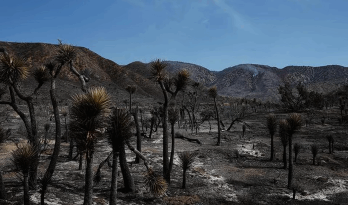 incendio estados unidos