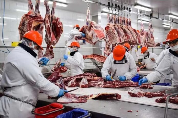 Instituo de la Cane Vauna