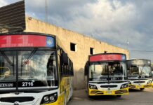 Santa Fe renueva su transporte urbano con la incorporación de 28 nuevos colectivos
