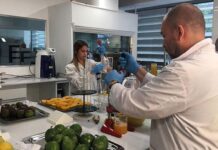 Nación disolvió el Instituto Nacional de Alimentos, ahora el control recaerá sobre Senasa y el Ministerio de Salud